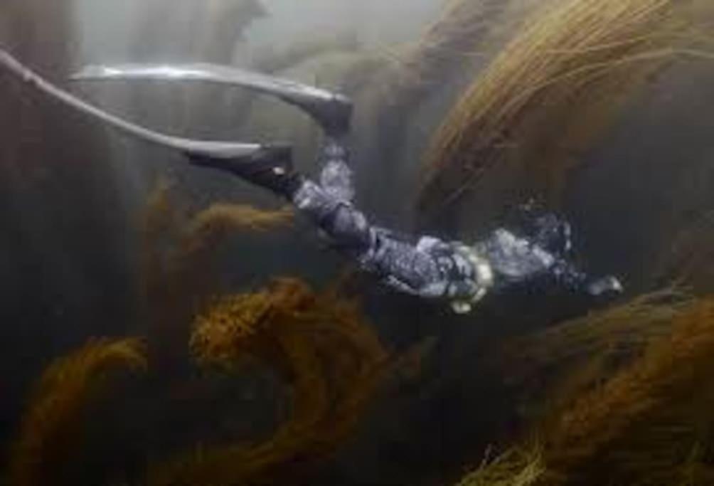 Gite Entre Mer Et Abers Landéda Eksteriør billede