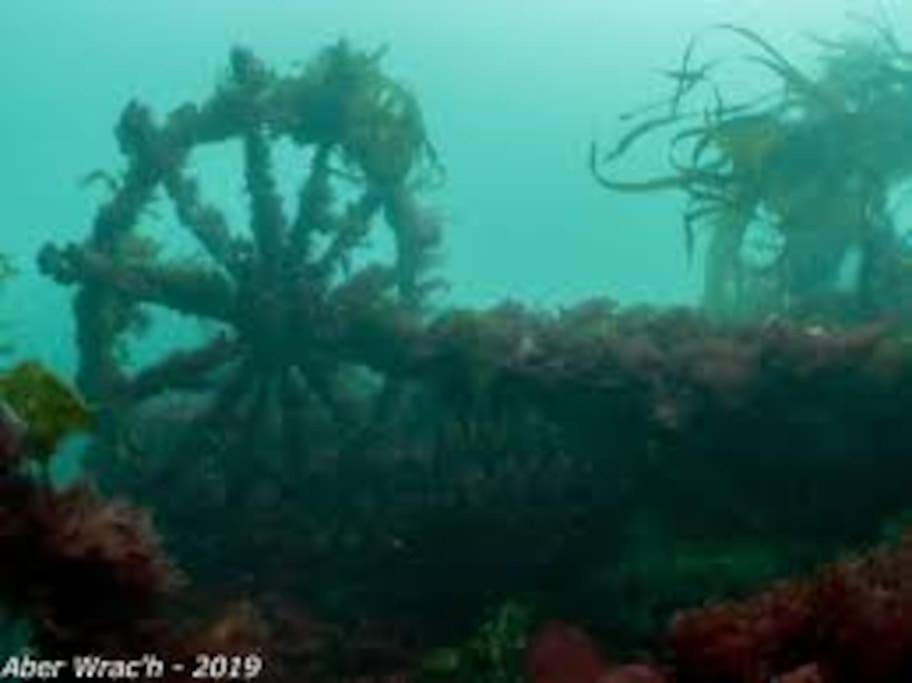 Gite Entre Mer Et Abers Landéda Eksteriør billede
