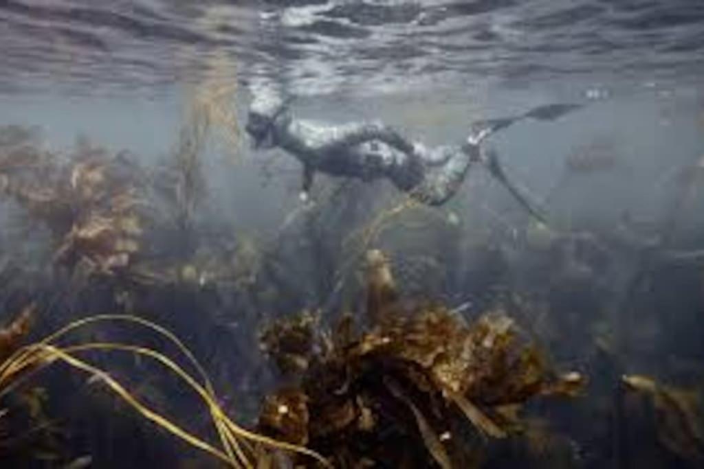 Gite Entre Mer Et Abers Landéda Eksteriør billede