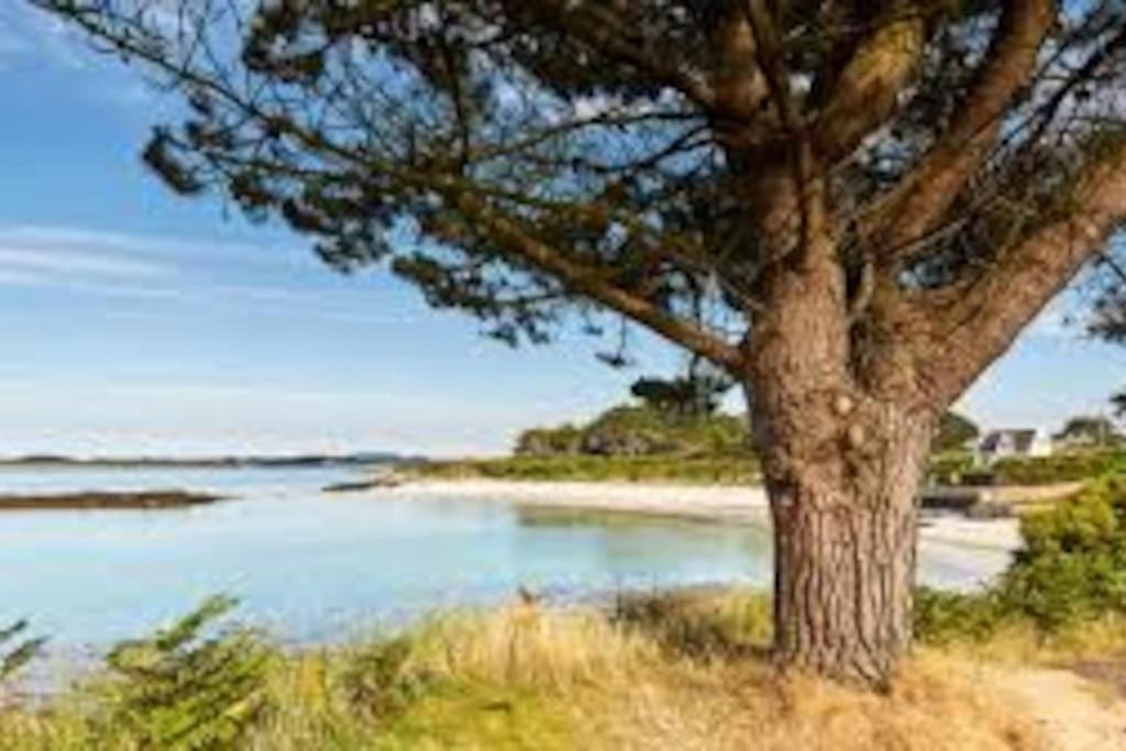 Gite Entre Mer Et Abers Landéda Eksteriør billede
